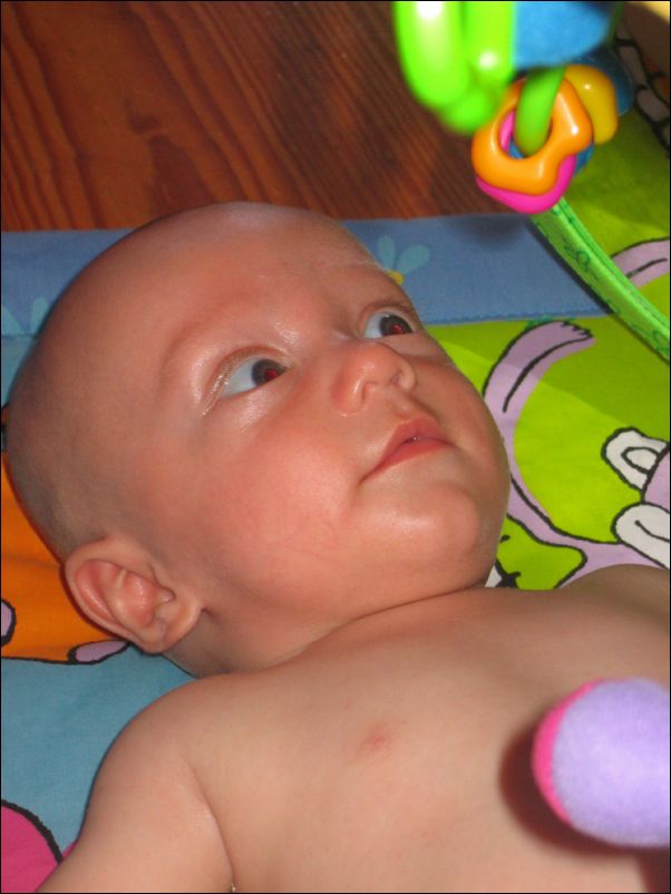 Owen close-up